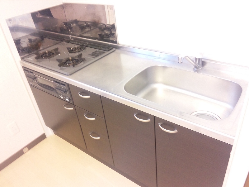 レオネクストタウンコート羽生Ｍ102号室 キッチン