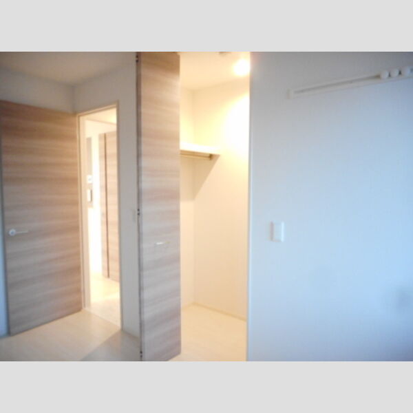 テラス市川高谷301号室 ウォークインクローゼット