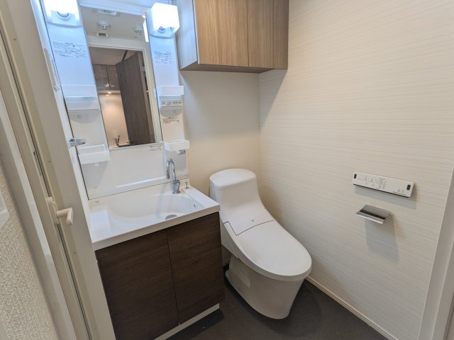 ハーモニーレジデンス新横浜1005号室 洗面