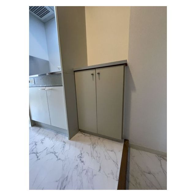 スペーシア池上0509号室 シューズボックス