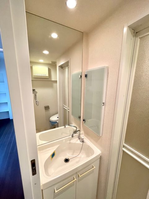 レジディア市谷薬王寺13階 洗面