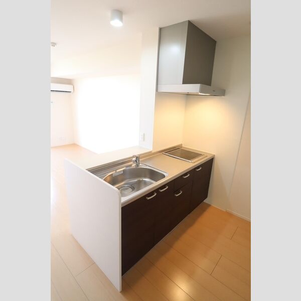 パークフラッツ202号室 対面システムキッチン