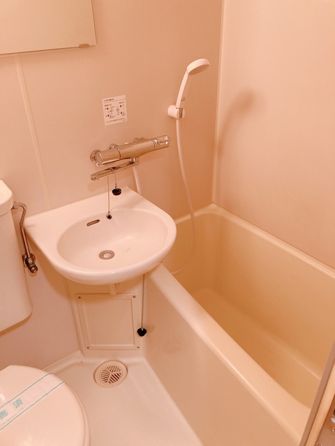 グランディオール白楽0305号室 洗面