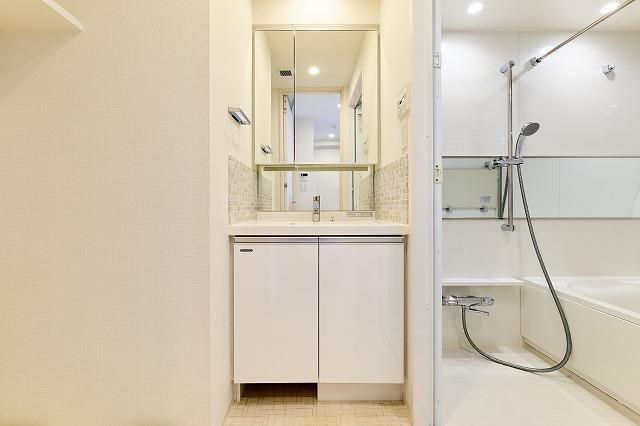 ステージグランデ錦糸町Ⅱ9階 洗面所