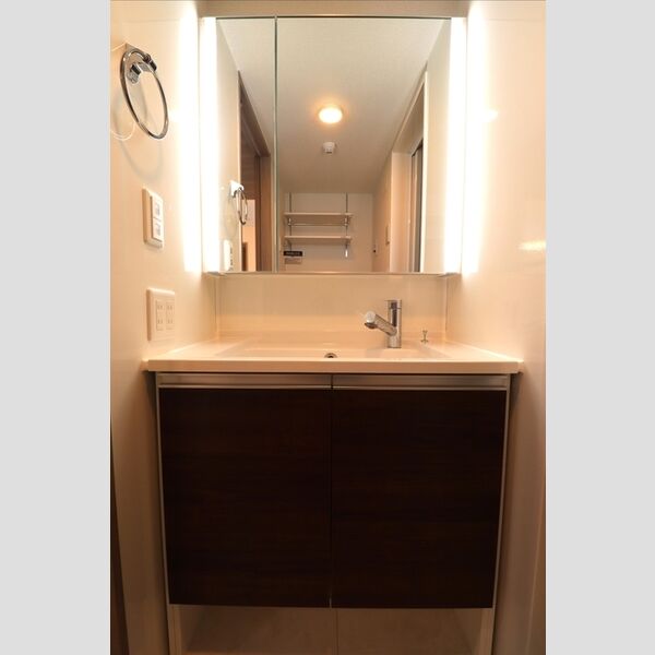グラナーデ貫井303号室 洗髪洗面化粧台