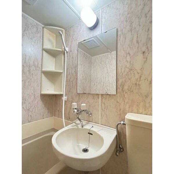 ラ・レジダンス・ド・ピエール0205号室 洗面