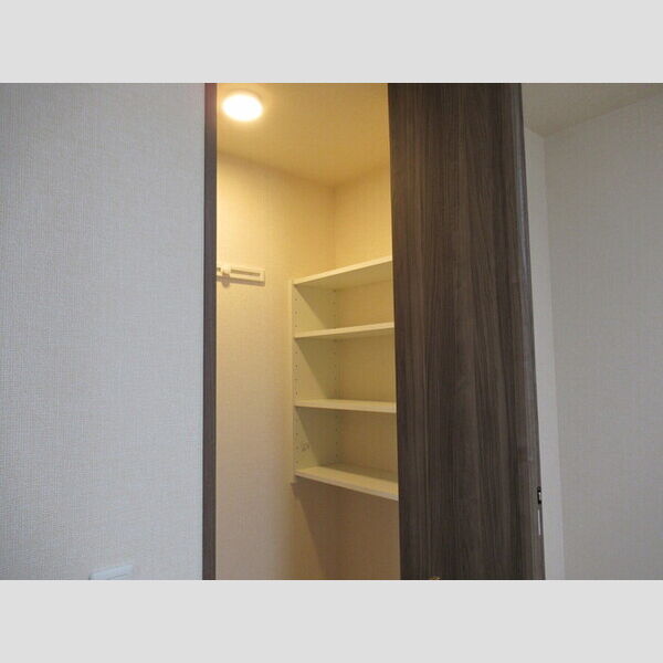 KOCHIA N・S　S棟102号室 ウォークインクローゼット