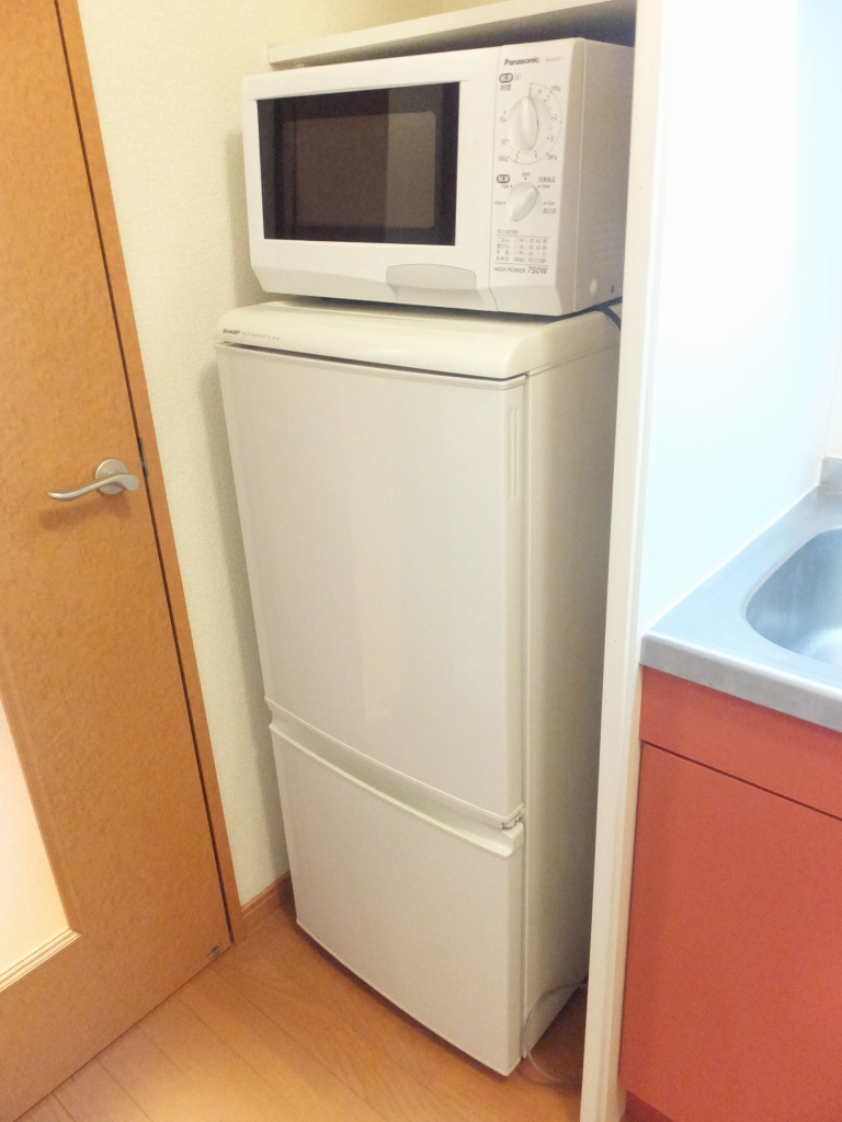 レオパレスガーベラ205号室 大型家電