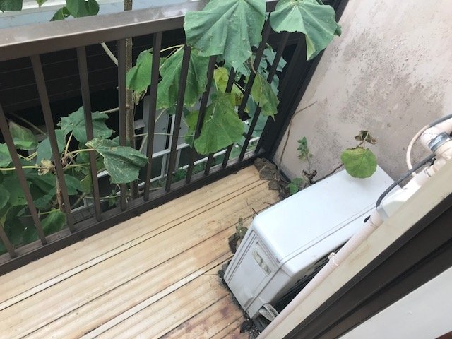 プラザ常盤台 バルコニー