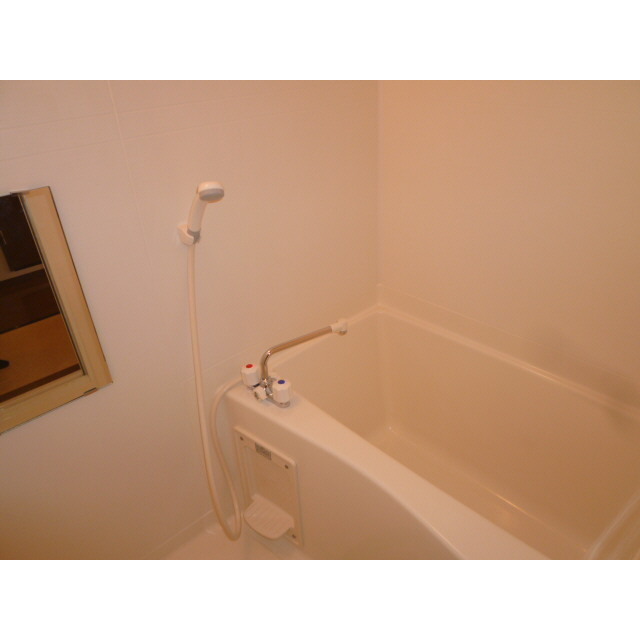 アムール ハルディーン ディ パライソ202号室 お風呂