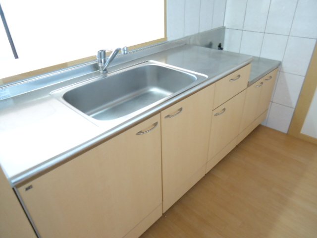 サールナート202号室 キッチン