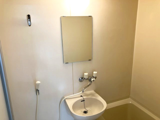 ハイツ小川202号室 洗面