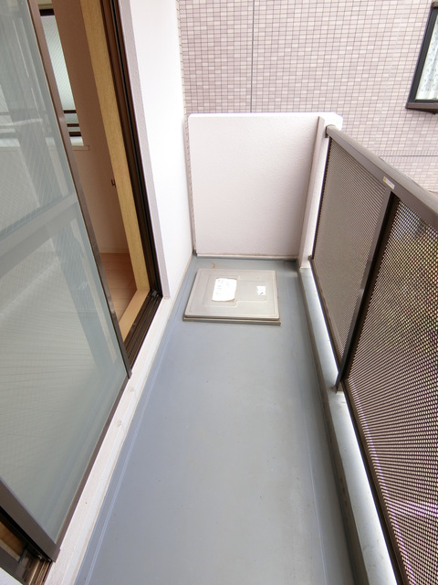 アメニティ高幡0201号室 バルコニー