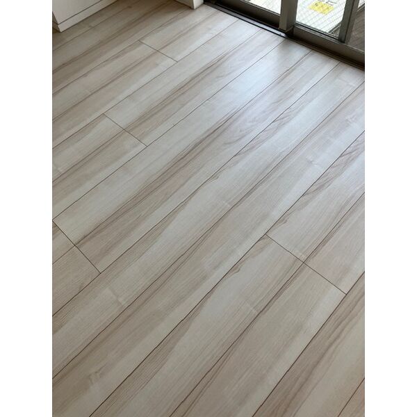 プレセダンヒルズ向島East202号室 部屋その他