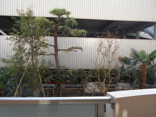 フラワーヴィレッジ0103号室 展望