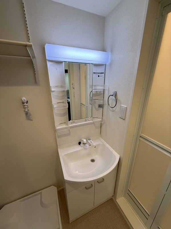 ハーモニーテラス北小岩ⅩⅩ2階 洗面