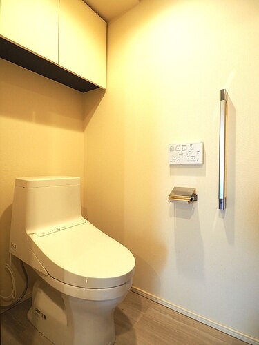 白金ザ・スカイ東棟11階 トイレ