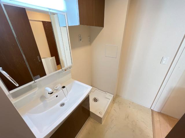 ルミナス　ケイポート201号室 洗面