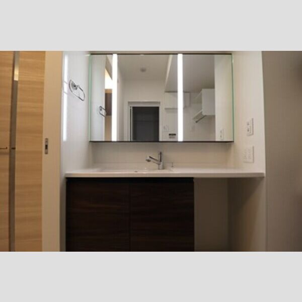 D-PRECIOUS武蔵野101号室 洗面台