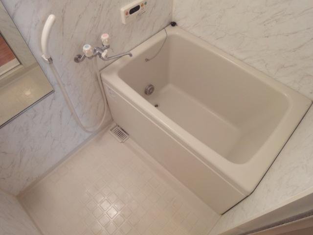 サフィール202号室 浴室