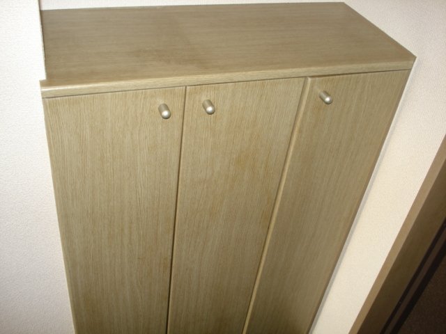 メゾン・ド・ケヤキ 廊下