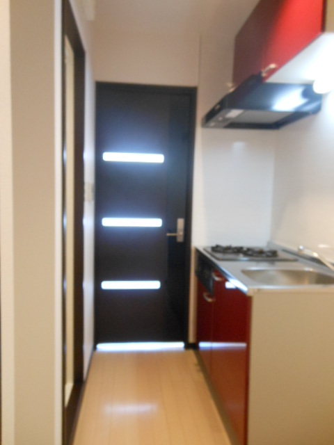 アクシス亀戸0205号室 玄関