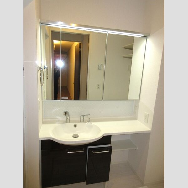 エクセリア徳丸Ⅰ103号室 シャンプードレッサータイプ