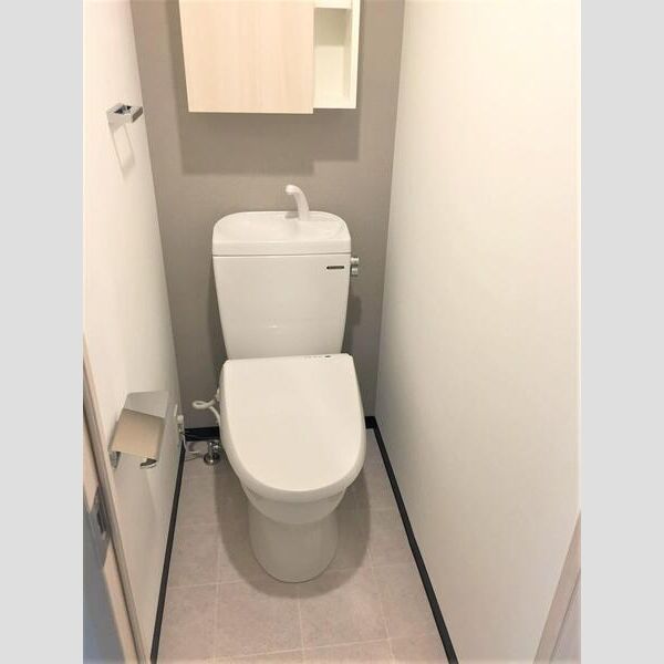 S-RESIDENCE行徳212号室 トイレ