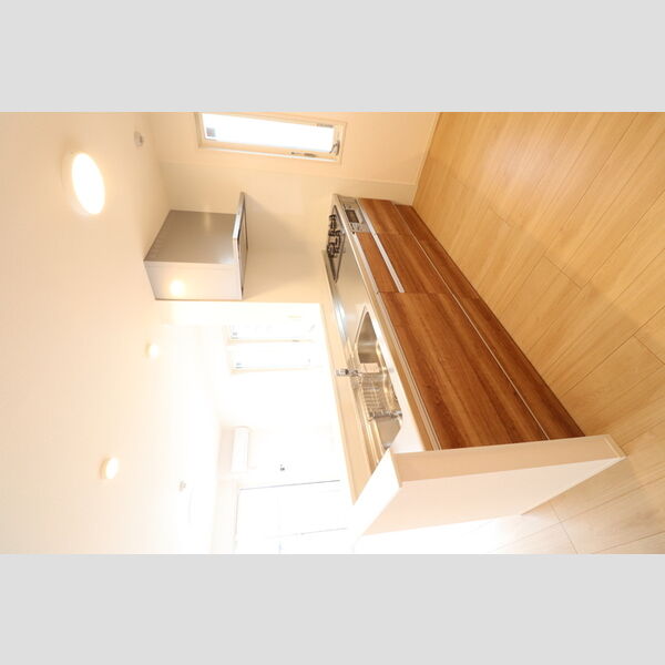 レグルス303号室 対面システムキッチン