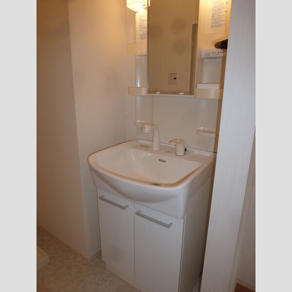 アベイユガーデン101号室 洗面