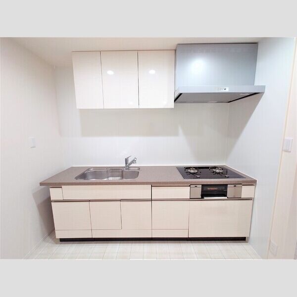 ブルーフォックス201号室 システムキッチン