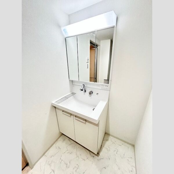 カスタリア西船橋Ⅱ0401号室 洗面所