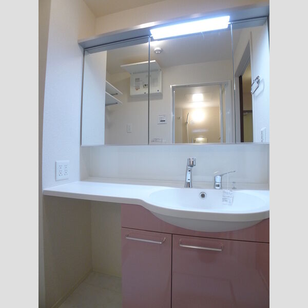 エヴァーラスティング千葉210号室 洗面所