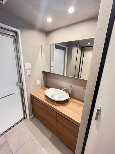 レジディア目白御留山 洗面