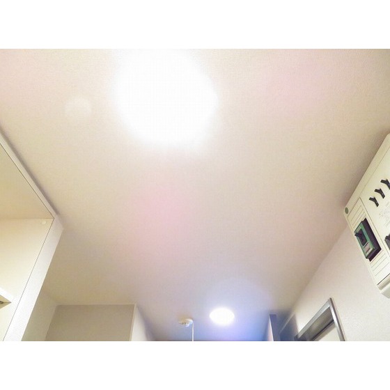 Ｂｅｌｌｅ　Ｖｕｅ新中野0404号室 照明