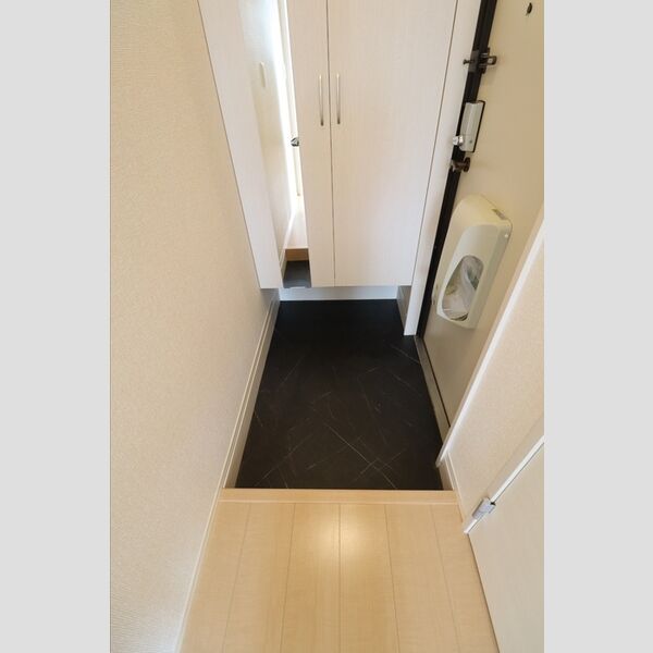 プティヴィラージュ　Ⅵ 玄関