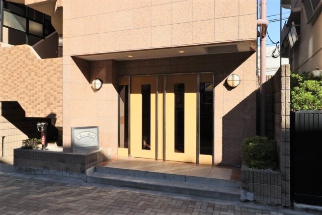 11階