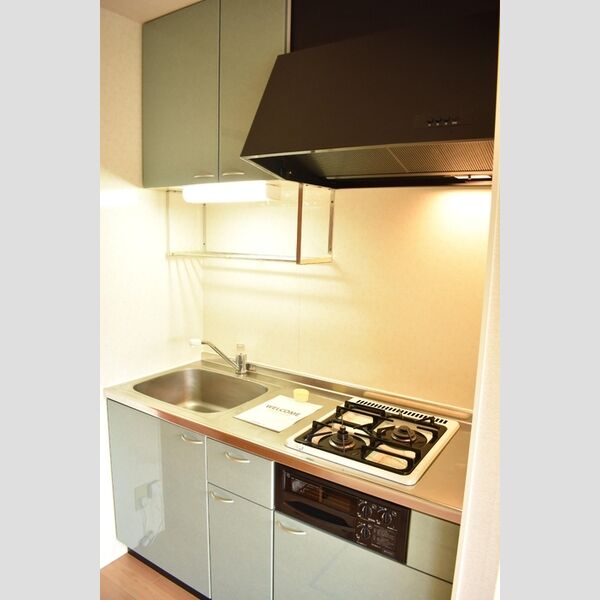 グレイスコートⅡ システムキッチン