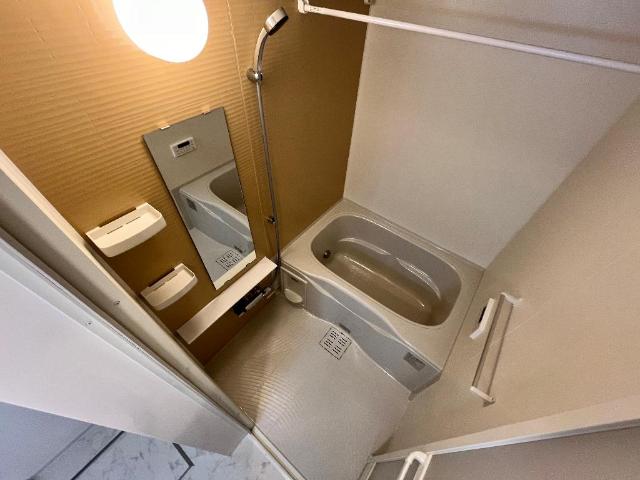 カスターニャ バス