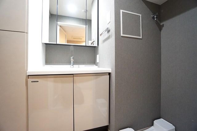 ALTERNA菊川Ⅱ トイレ