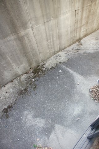 大野ハイツ0203号室 駐車場