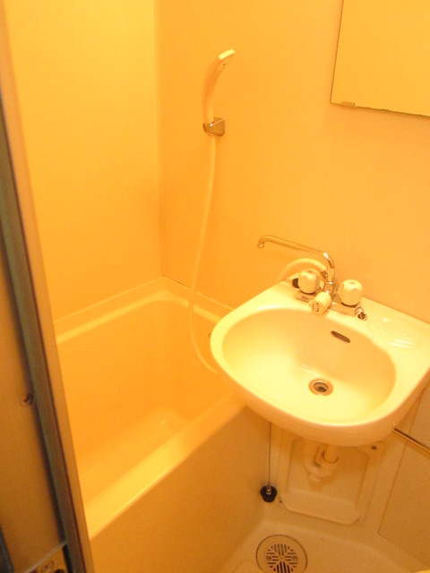 ＳＡＮＫＯ　ＨＥＩＧＨＴＳ　ＯＳＡＫＩ0407号室 洗面