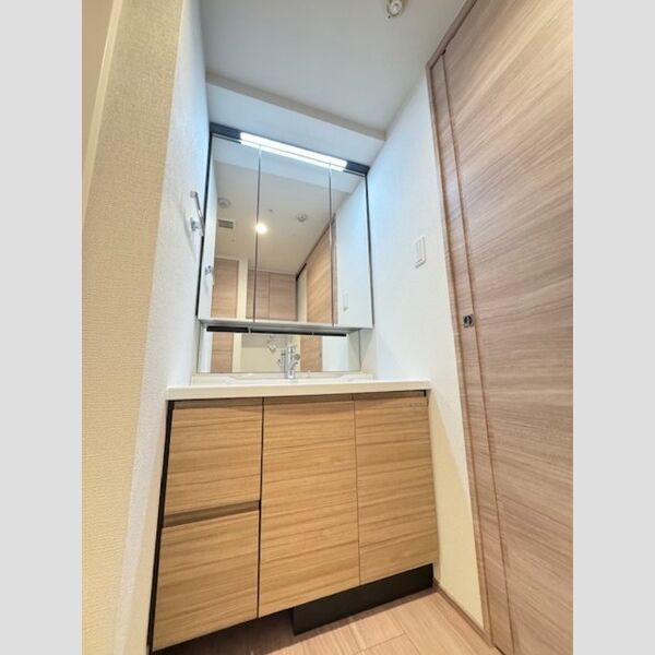 リーラ品川戸越0202号室 洗面