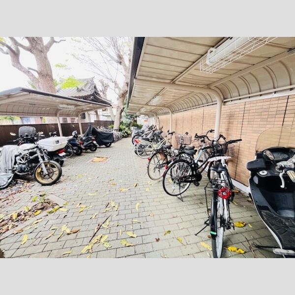 湘南absⅠ310号室 駐輪場