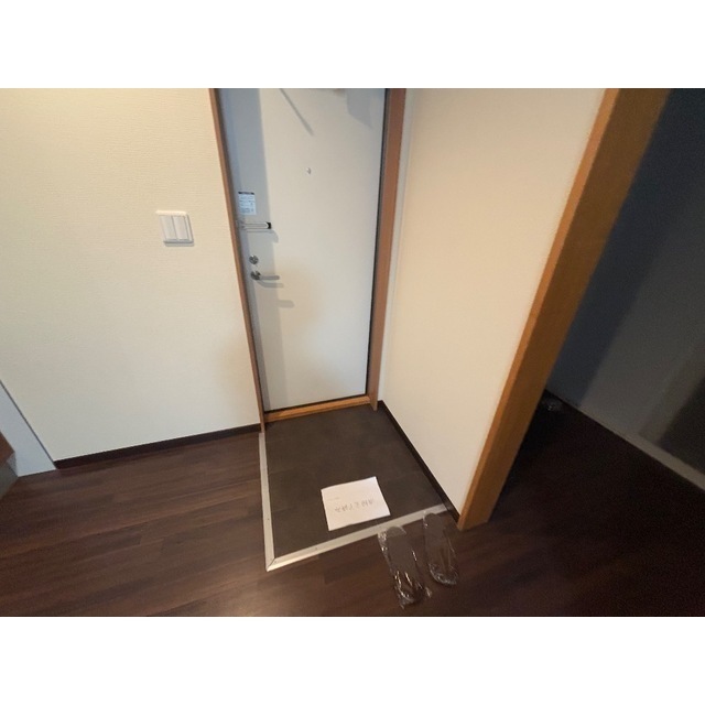 リブレス新河岸Ⅴ　旧新河岸元寮202号室 玄関