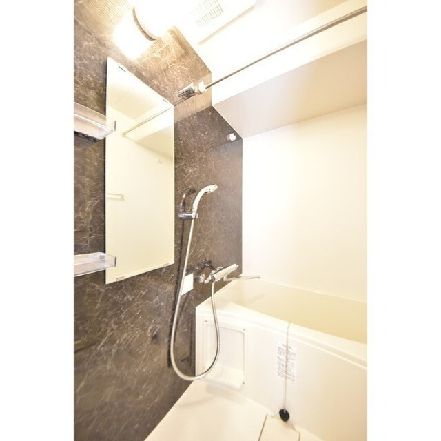 Court Blanche0502号室 内観