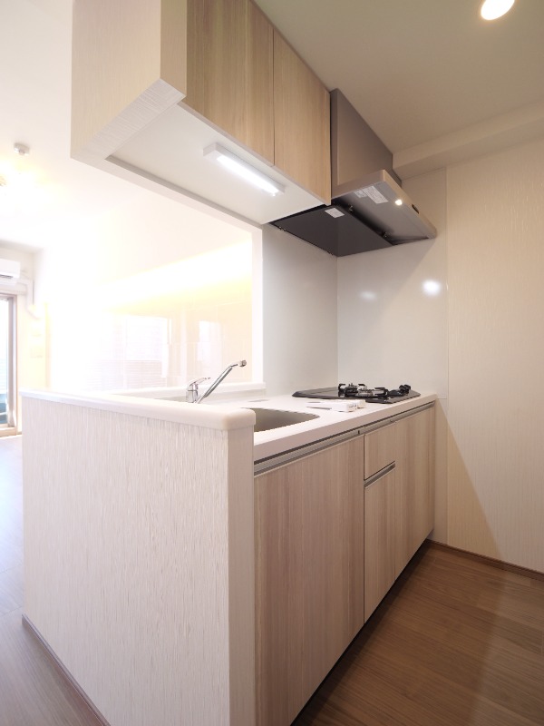 プレジオ川口ASIAN7階 キッチン