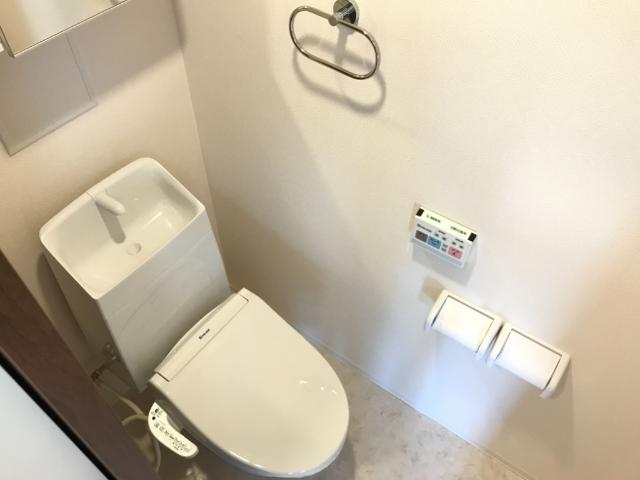 アイルトンハウス202号室 トイレ