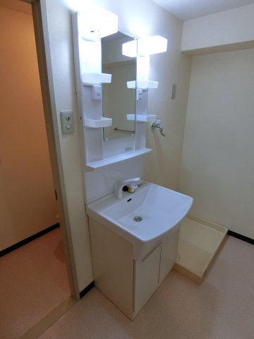 ロワール大鷹 洗面