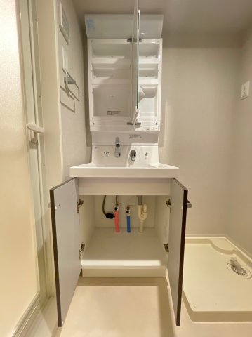 DIPS練馬春日町204号室 洗面